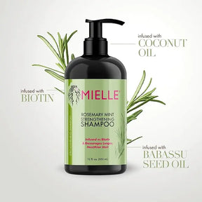 Mielle Organics Rosemary Mint Strengthening Shampoo Infused with Biotin, Cleanses and Helps Strengthen Weak and Brittle Hair, 12 Ounces - ZainaMart